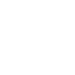 icon partnership